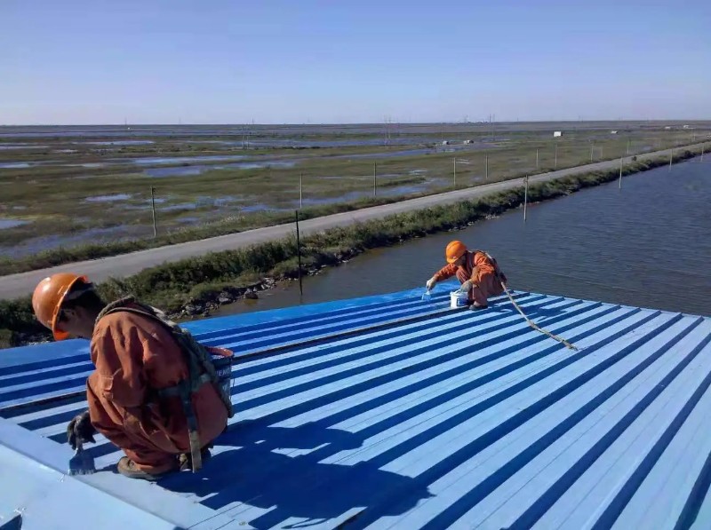 阳日镇彩钢瓦屋面防腐翻新